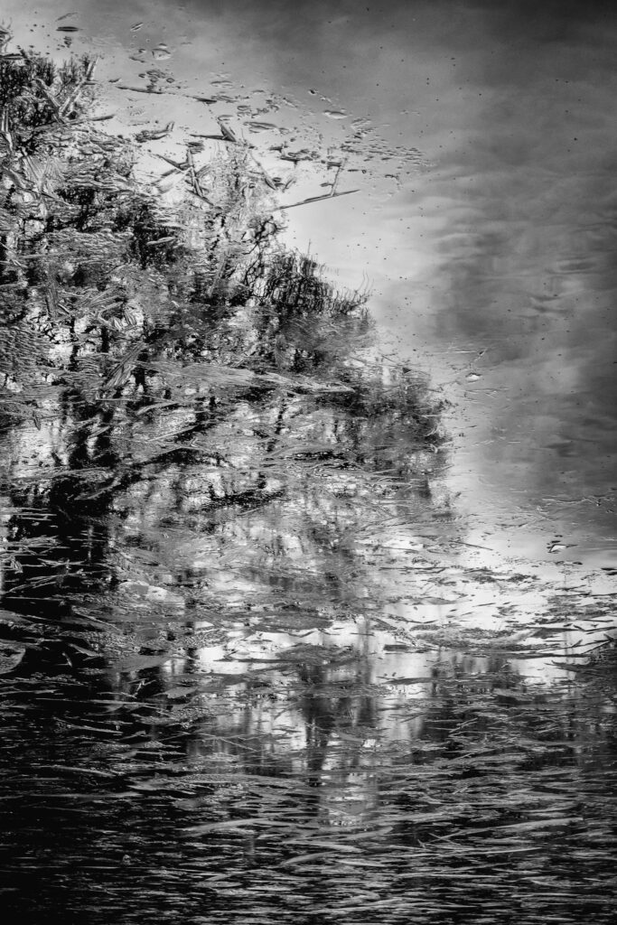 Un monde sous la glace