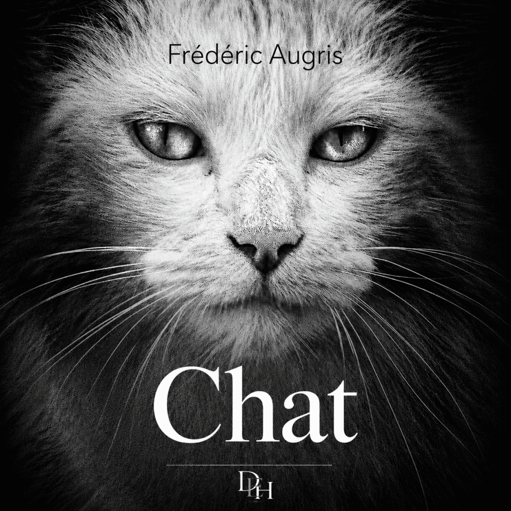 Couverture d’ouvrage : Chat