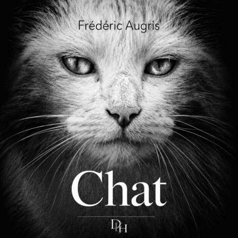 Couverture d’ouvrage : Chat